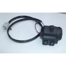SWITCH RIGHT - STARTER TYPE - (81065029)